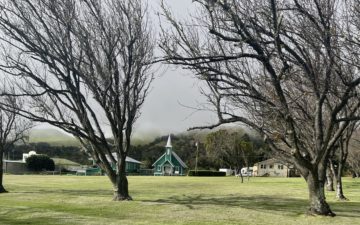 Finding The Christmas Spirit Despite COVID, Holidays in Waimea